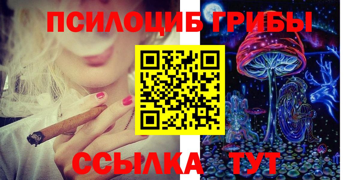 Псилоцибиновые грибы Magic Shrooms  Вход с VPN  Псилоцибиновые грибы GOLDEN TEACHER  Лесной 