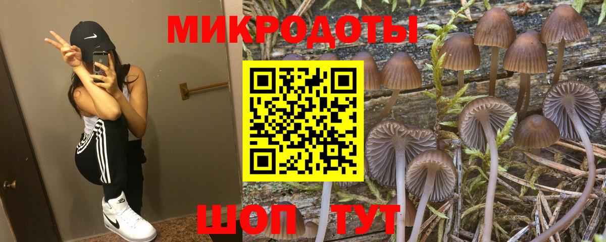 Галлюциногенные грибы прущие грибы Лесной